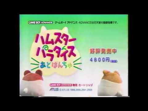 ハムスターパラダイスあどばんちゅ