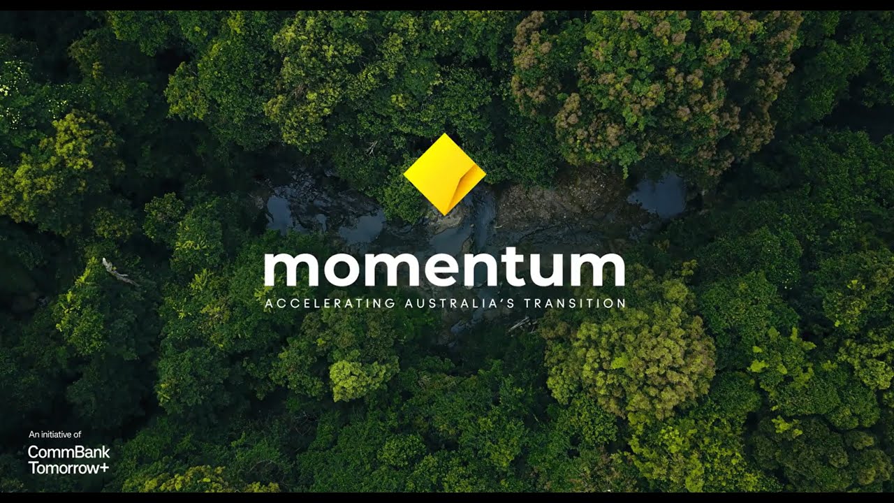 Momentum 2025 Highlights