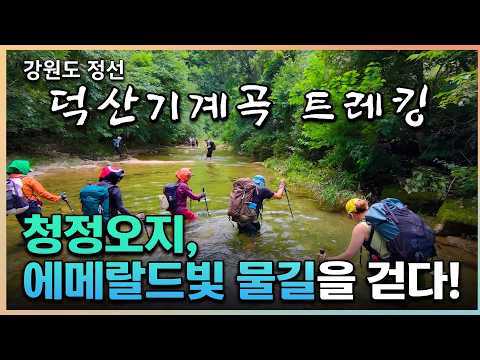 덕산기계곡 덕산1교 포인트 사진