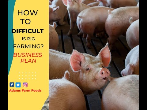 , title : 'How To Start A Pig Farm ll Business Plan'