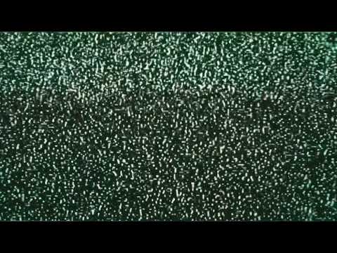 TTG4k x TSB Krimm-Pure Pain