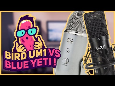 Micro Bird UM1 VS Blue Yeti test - BIFFTECH