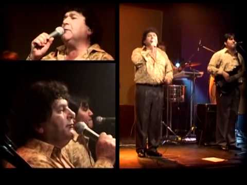 Los Palmeras - Fiesta en la selva