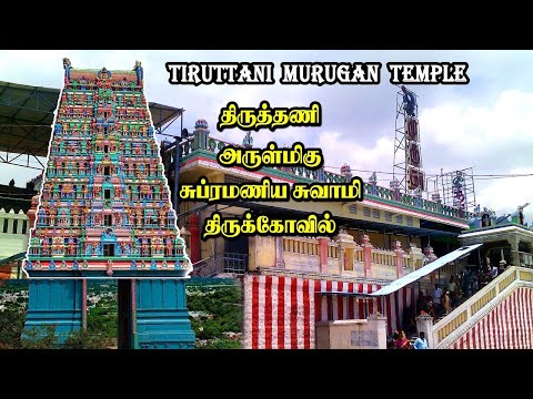 Tiruttani Sri Subramanya Swamy Temple VLog | Tiruttani Murugan Temple | Seenu Vlog 38