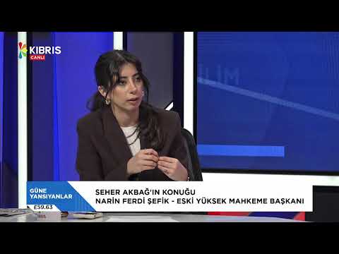 GÜNE YANSIYANLAR - NARİN FERDİ ŞEFİK