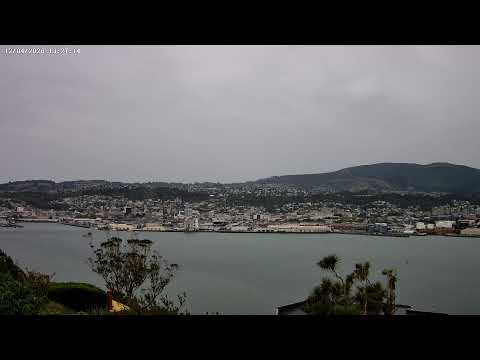 Dunedin Overview thumbnail