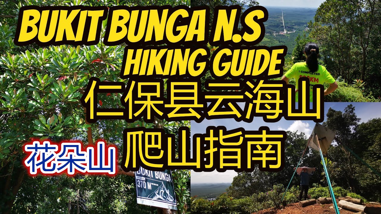 Bukit Bunga Serting Batu Kikir Negeri Sembilan Hiking Guide森美兰花朵山爬山指南