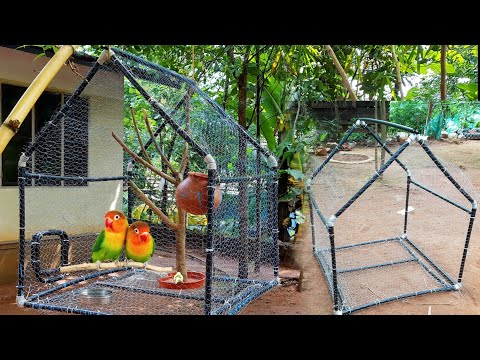 How to make chicken cage|Birds Cage making pvc pipe|Diy