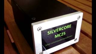 Gone With The Wind - Betty Carter