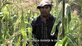 Klimaatrechtvaardigheid