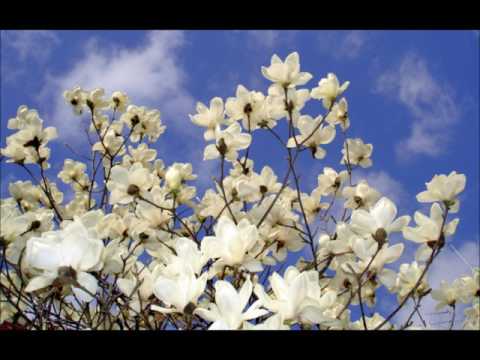 Video thumbnail for Колыбельная (Cradle-song)