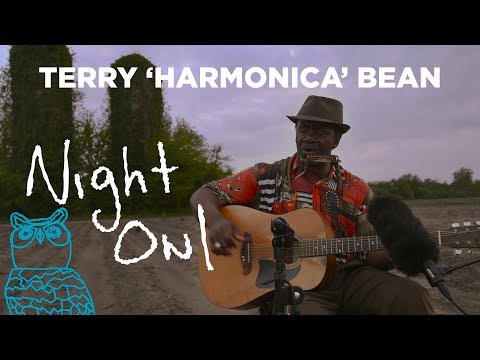 Thumbnail for Terry "Harmonica" Bean, "Doing My Own Thing" Night Owl | NPR Music by Terry "Harmonica" Bean