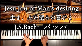 Download lagu 主よ人の望みの喜びよ【楽譜あり】バッハ/Jesu,Joy of Man's desiring/J.S.Bach/classic Pinao/クラシックピアノ/CANACANA mp3 Download lagu 主よ人の望みの喜びよ【楽譜あり】バッハ/Jesu,Joy of Man's desiring/J.S.Bach/classic Pinao/クラシックピアノ/CANACANA mp3