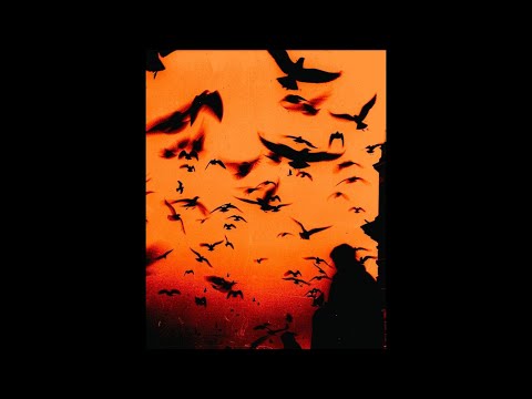 Zed x PLK x Hamza Type Beat - "Tentations" (prod. dibi)