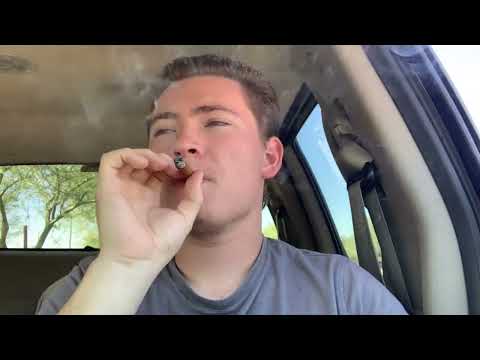 #shorts  Toronto 2 Milwaukee 🔥🔥  - (GTB AUSTIN x ITSMR22 x 230 GLO)