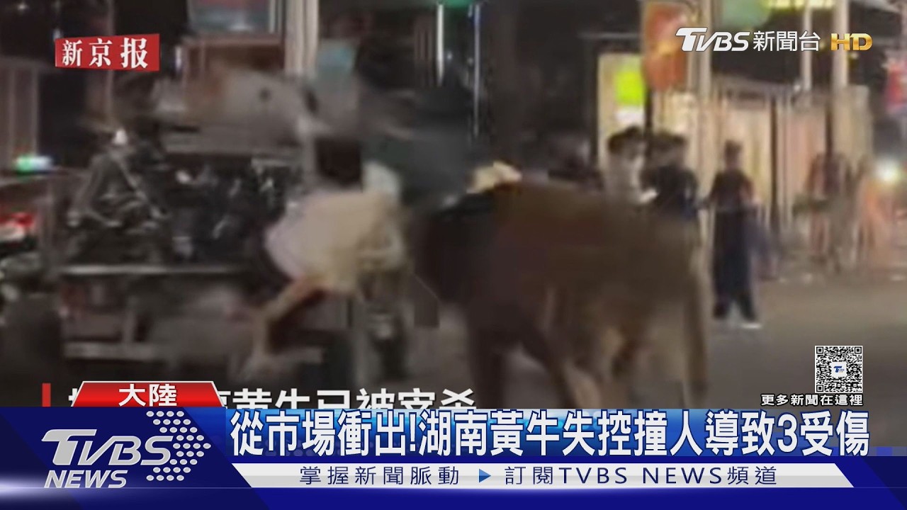 影音／黃牛逃離屠宰場狂奔地鐵口「撞飛3路人」！警到場後結局曝