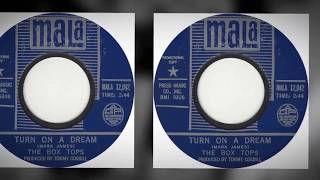 THE BOX TOPS- "TURN ON A DREAM" (LYRICS)