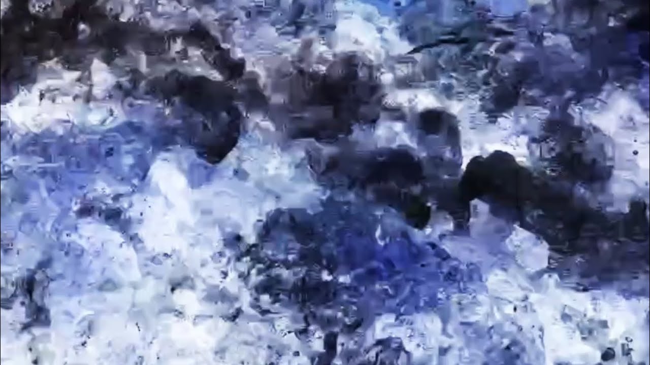 The Floral Faeries — Official Trailer