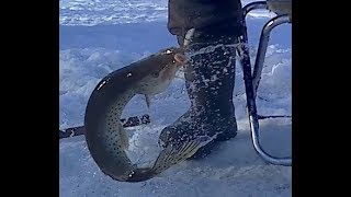 Зимняя рыбалка на амуре у хабаровска