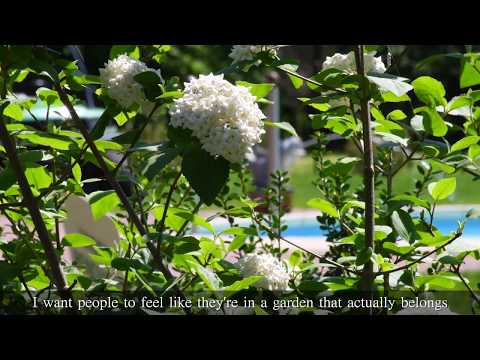 Timeless Beauty in Andalusia's Gardens