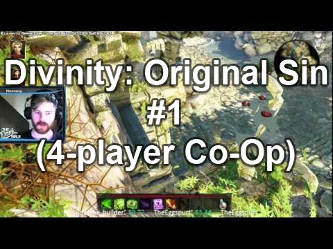 (Let's Play) Co-op Divinity Original Sin Part 1