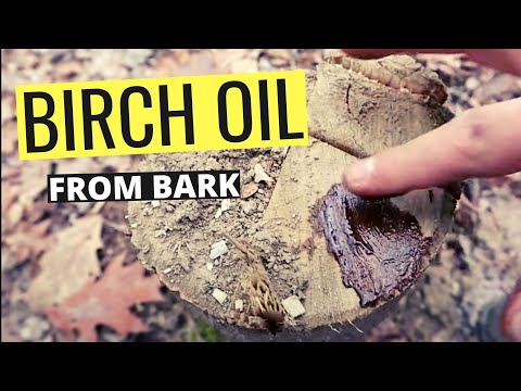 How to Make Birch Bark Oil From Start to Finish - The Easy Way