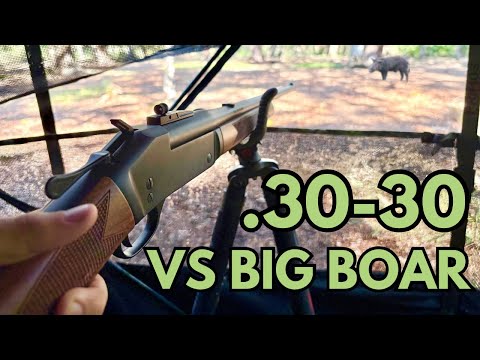 Invasive Hog Hunting with Henry .30-30 Single Shot