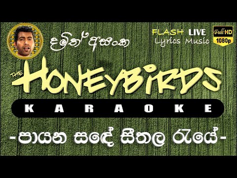 Payana Sade Karaoke (Without Voice) පායන සඳේ කැරෝකේ