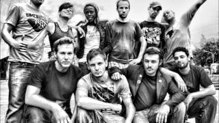 koalas desperados| koalas all star