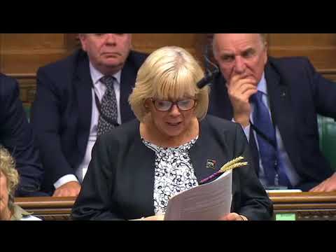 Prime Minister's Questions: Mary Glindon MP asking about Spinraza
