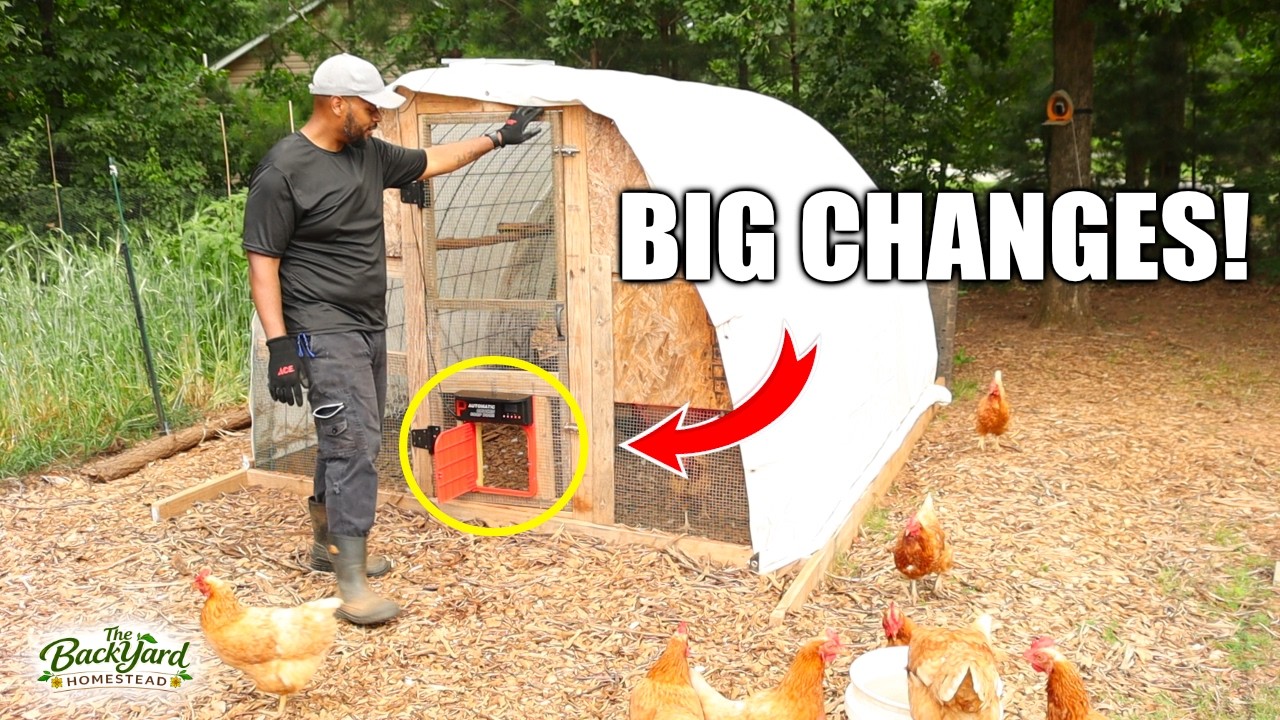 Big Changes on the Homestead! New Chicken Coop Upgrades & Summer Progress