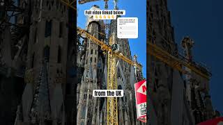 Two week cruise Yes or No #cruise #travel #shortsvideo