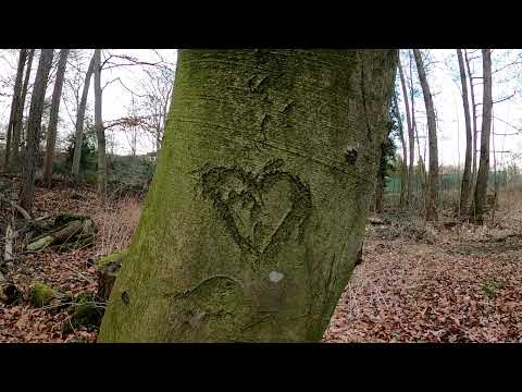 Fahrradtour| Alstedde - In der Geist - Alstedde 2K