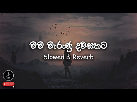 🎶 මම මැරුණු දවසකට Mama Marunu Dawasakata | Slowed & Reverb | TSMusic