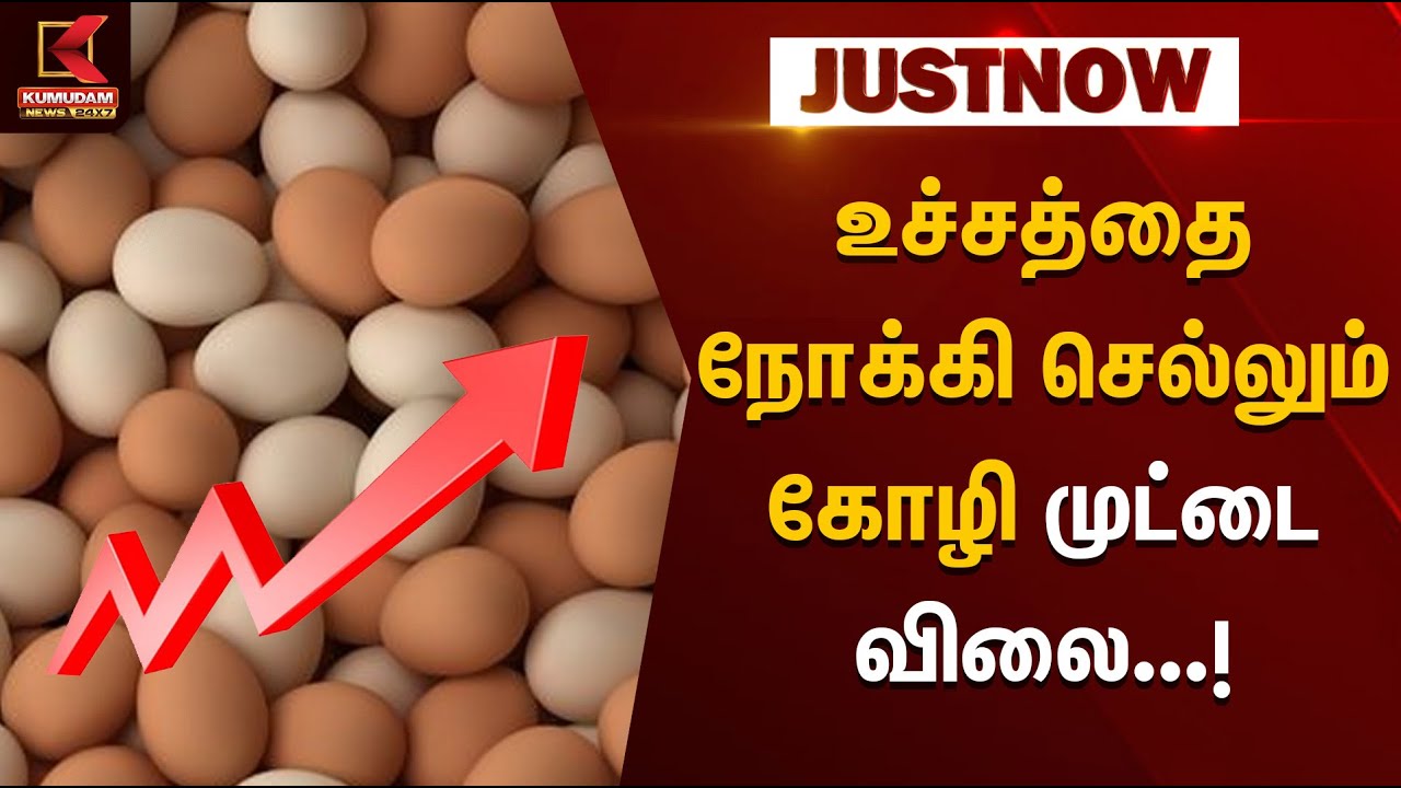 உச்சத்தை நோக்கி செல்லும் கோழி முட்டை விலை.. | Chicken Egg | Price Hike | KumudamNews