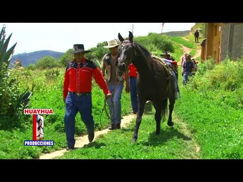 Conjunto Afición Sangre Grauina - Sangre Grauina / VIDEO OFICIAL FULL HD / HUAYHUA PRODUCCIONES