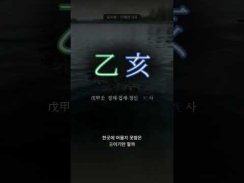 물 위에 뜬 풀 | 을해(乙亥) 일주