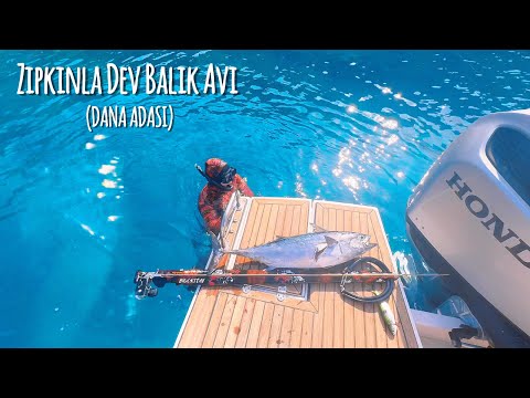 Tisan’da Konaklama ve Dana Adası’nda Unutulmaz Bir Zıpkınla Dalış Macerası!