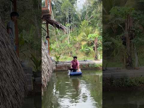 LOMPAT DI KEJAR ULAR BESAR
