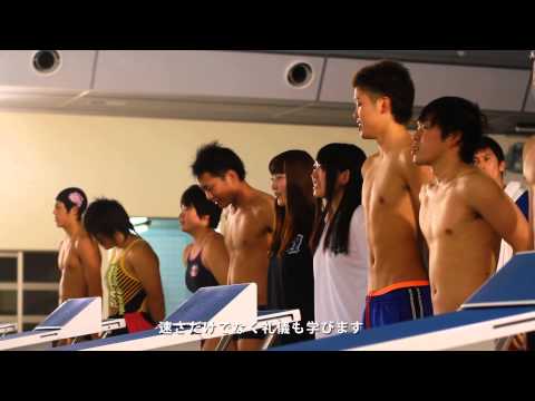 最高のレースをする｜水泳部｜岐阜聖徳学園大学