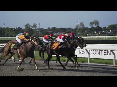 250209 c07 - REGAL FORTUNE (BRZ) - HIPODROMO DE MAROÑAS - HANDICAL ESPECIAL ANDRES RAMPONI LORDA