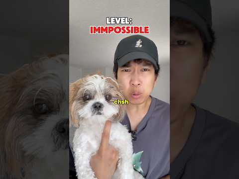 My Dog Can Dance