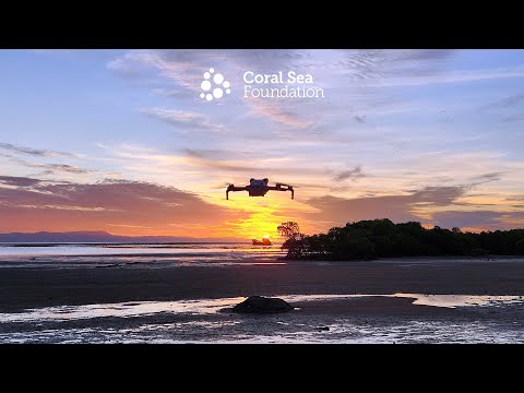 Drone Hand Launch & Landing - DJI Mini 4 Pro