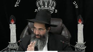 שובבים - סור מרע | הרב שי עובד | רביעי - פרשת ויחי - תשפו (הרב שי עובד) - התמונה מוצגת ישירות מתוך אתר האינטרנט יוטיוב. זכויות היוצרים בתמונה שייכות ליוצרה. קישור קרדיט למקור התוכן נמצא בתוך דף הסרטון