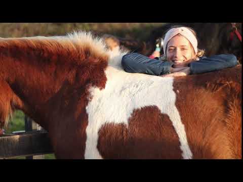 Islandhof Spiekeroog