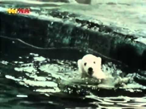 Löwenzahn Classics 019 Peter kriegt nasse Füße