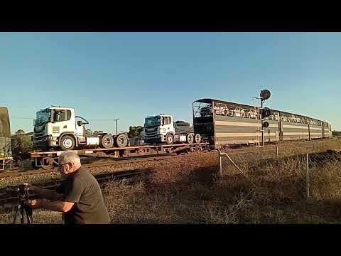 Pacific nationals 6MP5