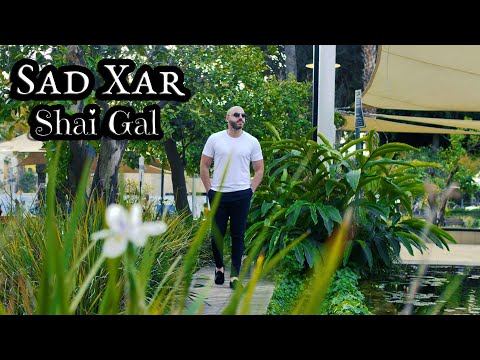 Shai Gal - Sad Xar | შაი გალ - სად ხარ (Official Video Clip) ახალი სიმღერა 2021