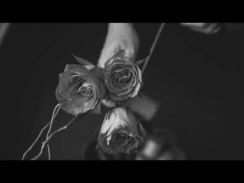 Juan Sapia: Rose (Original Mix)