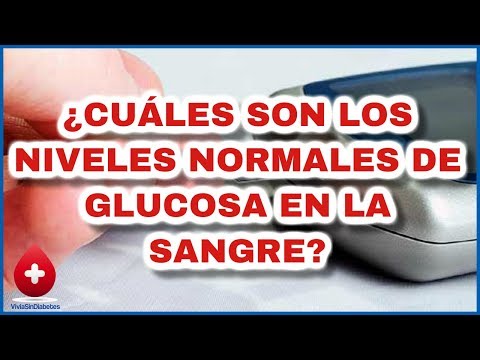 La limpieza de los vasos de las piernas en la diabetes Efecto de la miel en la insulina